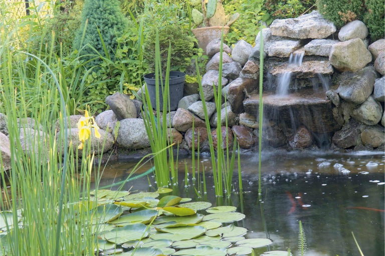 Teich mit Wasserfall, Seerosen und Uferbepflanzung