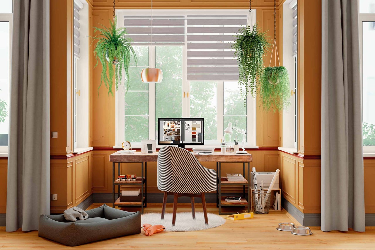 Helles Arbeitszimmer mit Schreibtisch, Stuhl, Hängepflanzen, Rollos und Hundebett