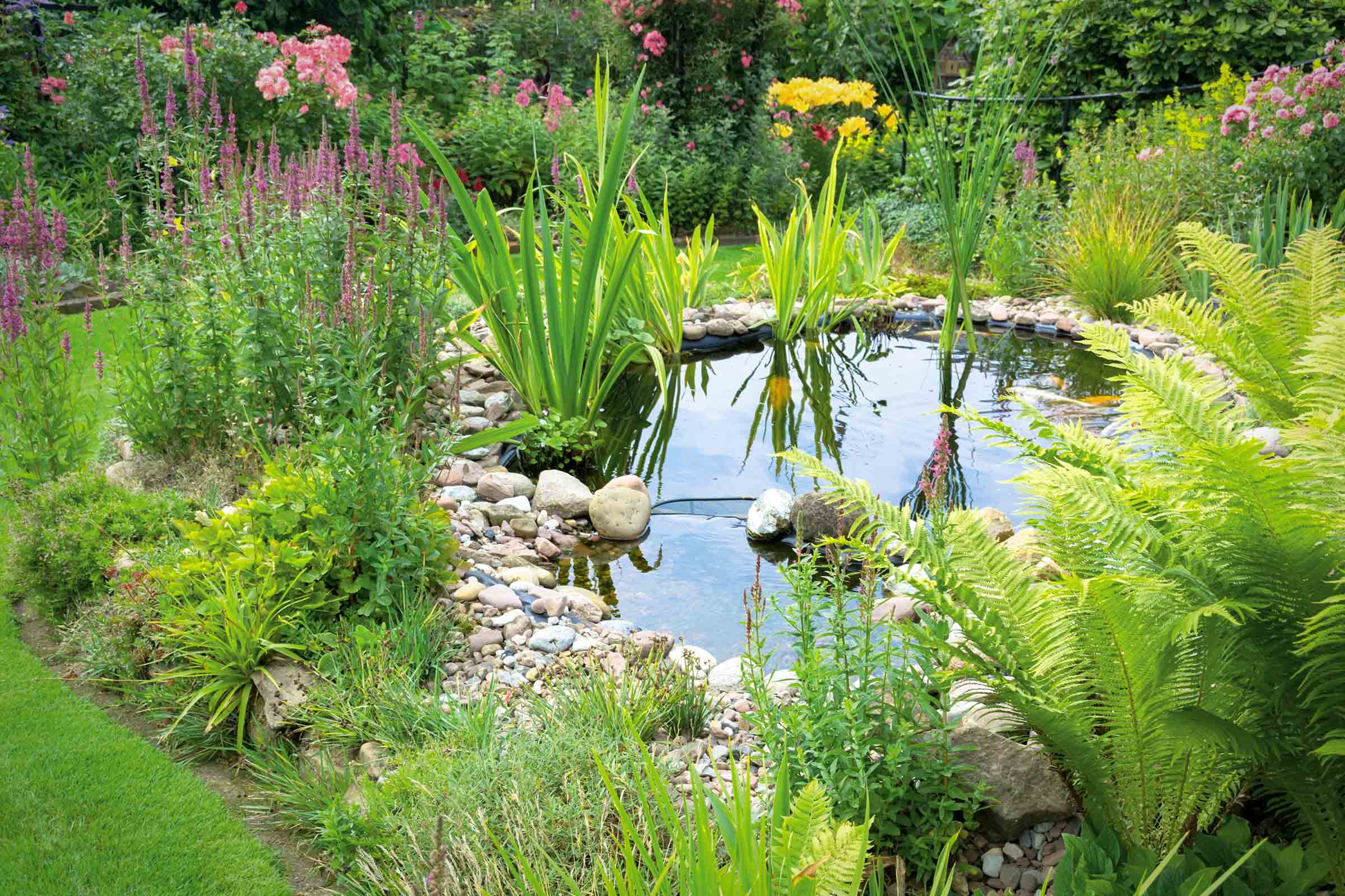 Gartenteich mit Steinen, Pflanzen und Blumen