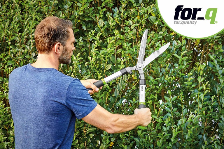 Mann schneidet eine Hecke mit einer Heckenschere von for_q