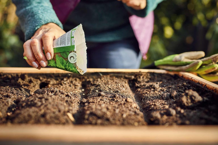 Eine Person sät Samen in eine vorbereitete Furche in einem Hochbeet. Im Hintergrund sind Gartenhandschuhe zu sehen.