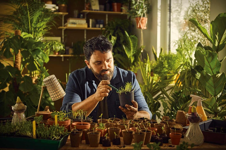 Mann pikiert Sämlinge in einem von Zimmerpflanzen umgebenen Raum.