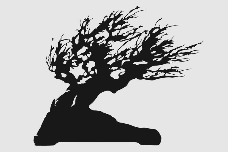 Silhouette eines Bonsai Baumes