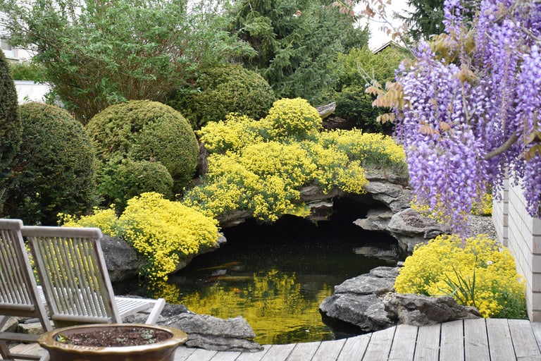Gartenteich mit Steinumrandung, umgeben von Pflanzen und Blumen, mit Sitzgelegenheit