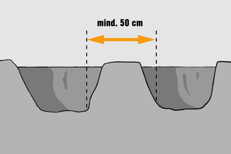 Abbildung einer Pflanzloch-Empfehlung mit einem Mindestabstand von 50 Zentimetern