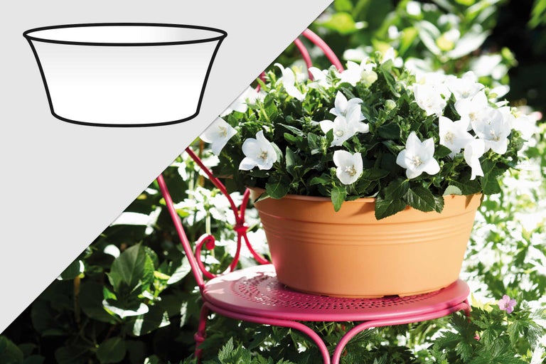 Blumentopf mit Glockenblumen auf einem Gartenstuhl