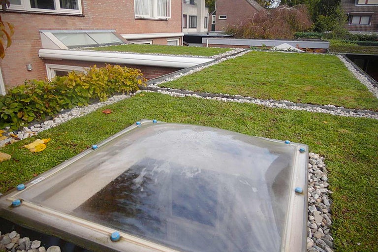 Ansicht eines Hauses mit Gründach und Oberlichtern, bepflanzt mit Gras und umgeben von Steinen.