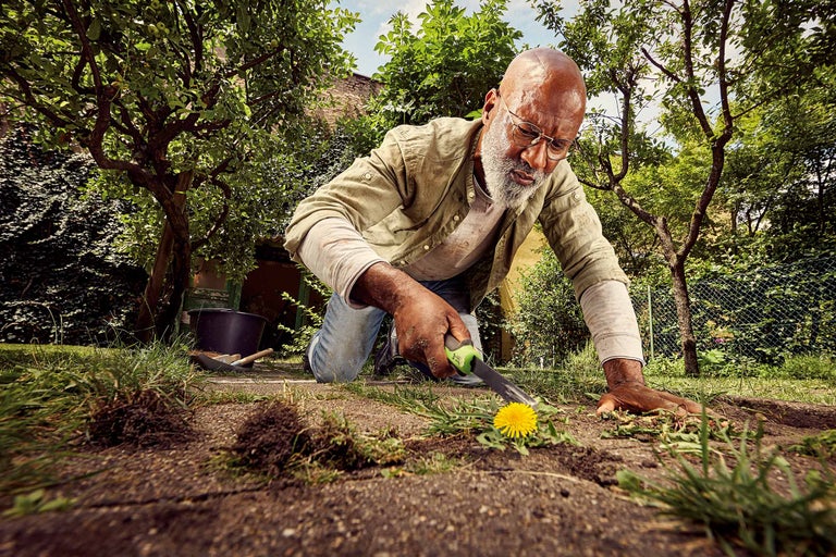 Ein Mann kniet im Garten und entfernt Unkraut mit einem Unkrautstecher.