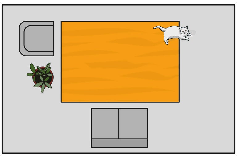 Draufsicht eines Wohnzimmers mit Teppich, Sofa, Sessel, Zimmerpflanze und Katze