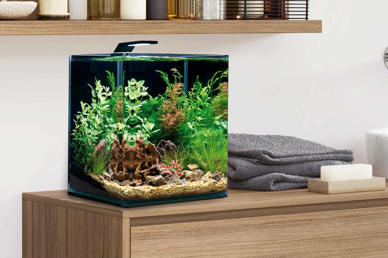 Quadratisches Aquarium mit Pflanzen, Steinen und Zwerggarnelen auf einem Holzschrank
