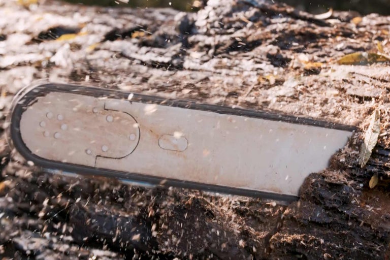 Nahaufnahme einer Kettensäge beim Schneiden von Holz