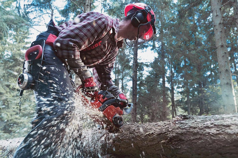 Mann mit Schutzhelm und Gehörschutz sägt Baumstamm mit Kettensäge in Wald
