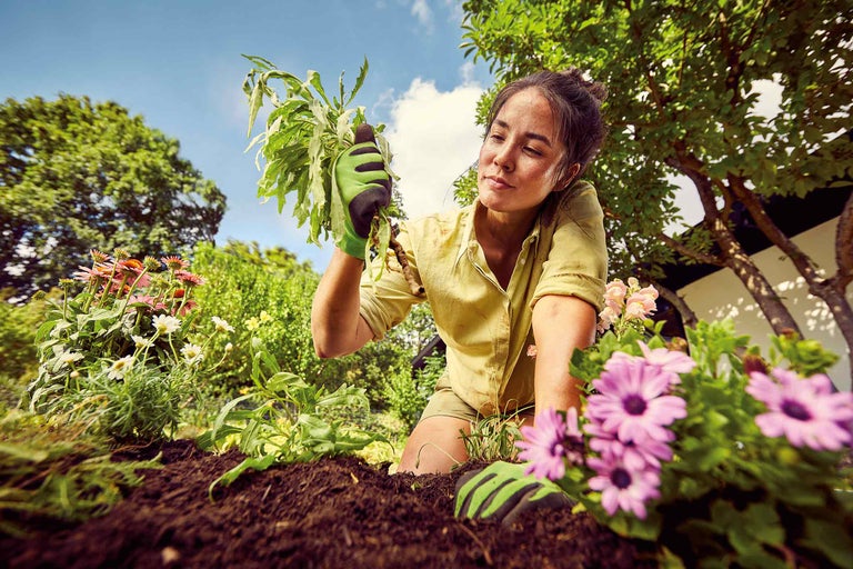 Frau pflanzt Setzling in Blumenerde im Garten.