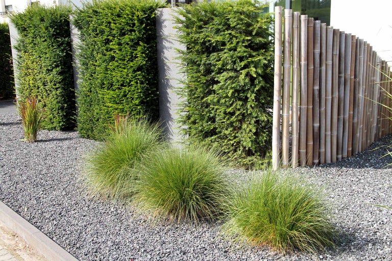 Gartenszene mit immergrünen Sträuchern, Ziergräsern und Kiesweg