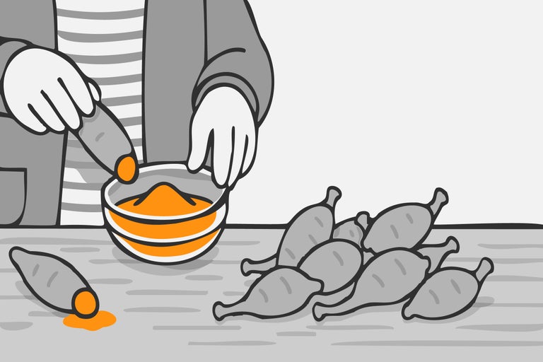 Illustration von Person, die Süßkartoffel in eine Schüssel mit Pulver taucht