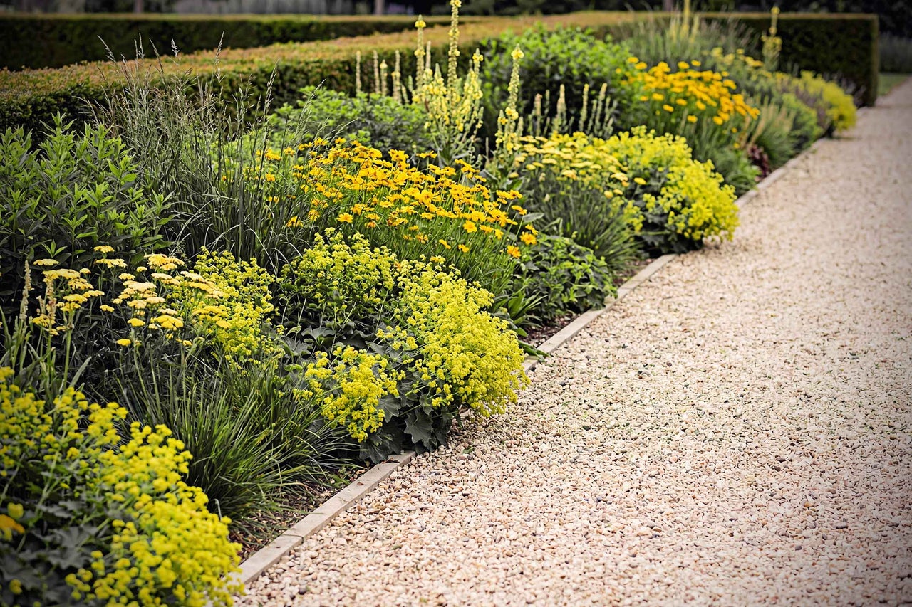 Gartenweg mit gelben Blumen und Kies
