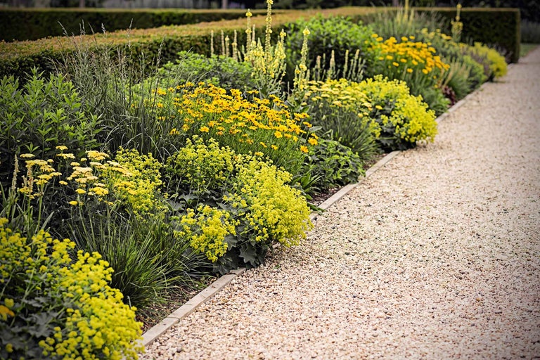 Gartenweg mit gelben Blumen und Kies