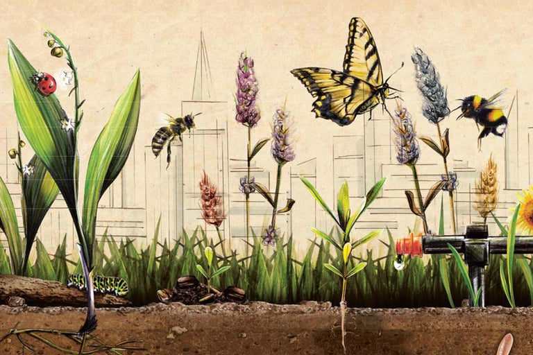 Illustration einer Gartenlandschaft mit Blumen, Insekten und einem Bewässerungssystem