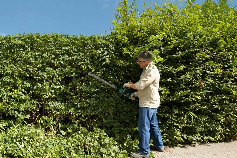 Mann schneidet Hecke mit einer Heckenschere