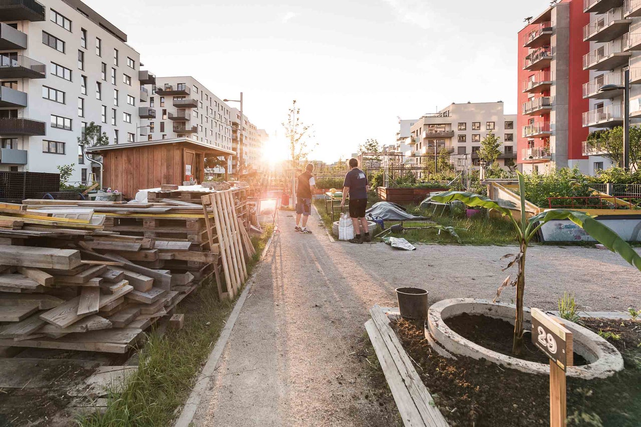 Gemeinschaftsgarten mit Holz, Paletten und Pflanzen vor Wohngebäuden