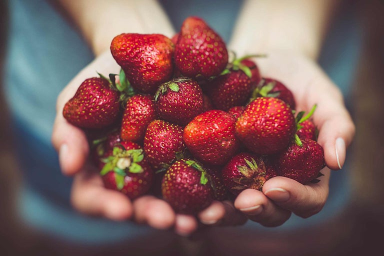 Eine Handvoll frischer Erdbeeren