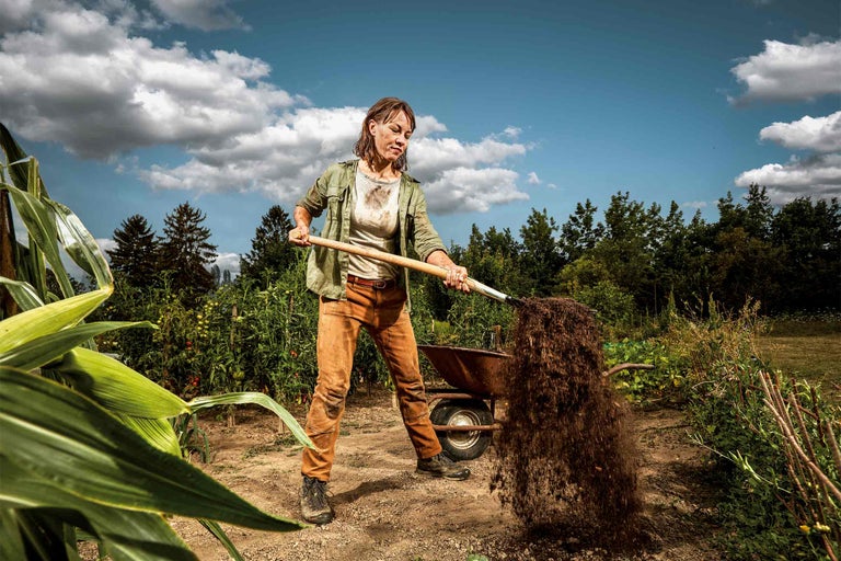 Mischkultur im Garten