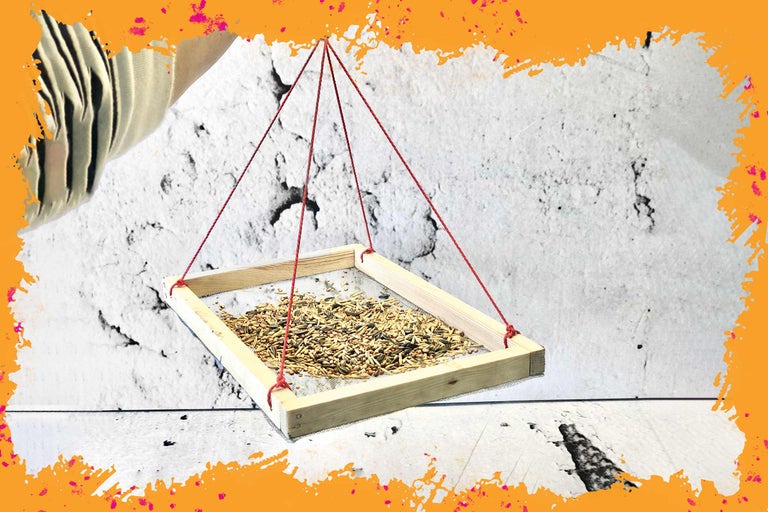 Hängendes Vogelfutterhaus mit Vogelfutter in einem Holzrahmen