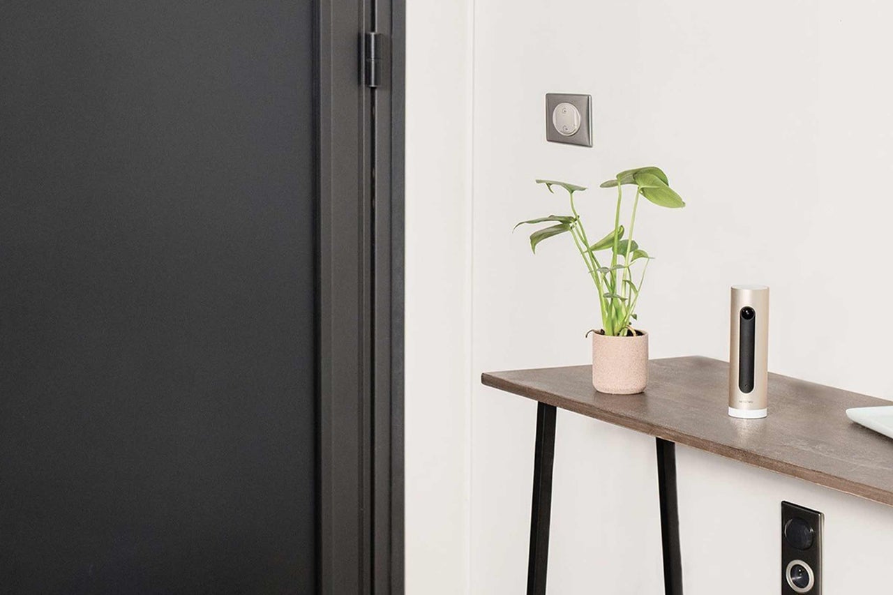 Innenraum mit Tisch, Zimmerpflanze und Netatmo Wetterstation