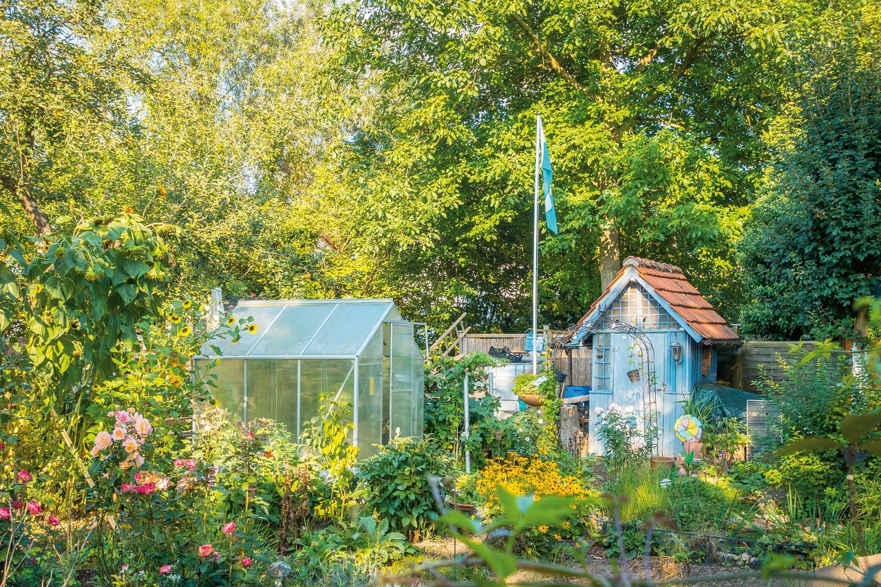 Idyllischer Garten mit Gewächshaus, Gartenhaus und üppiger Bepflanzung