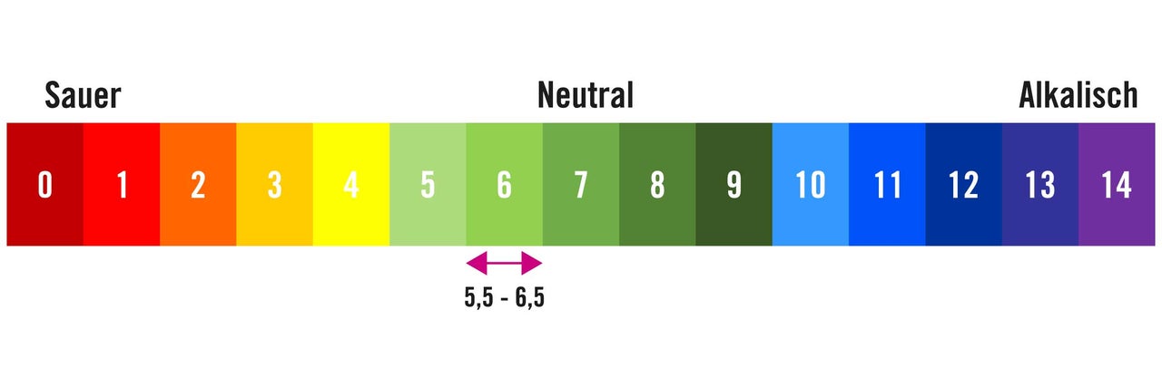 PH-Wert Skala von sauer bis alkalisch