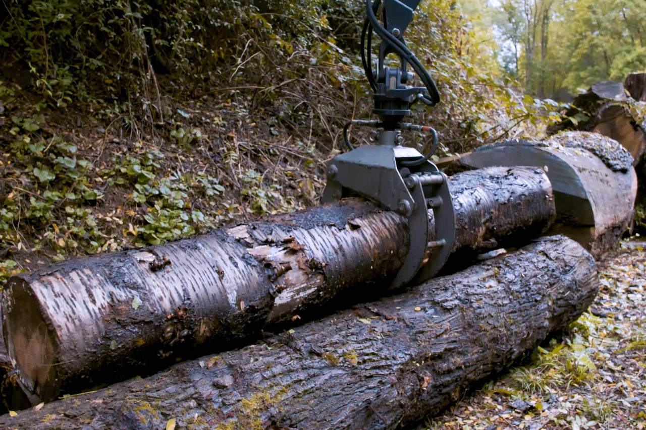 Holzgreifer hebt Baumstamm im Wald