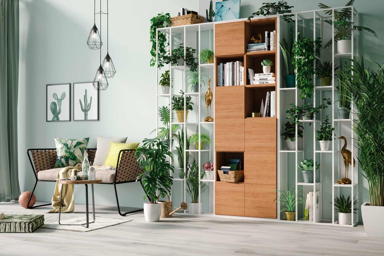 Wohnzimmer mit Regalsystem, Sofa und Zimmerpflanzen für eine helle und freundliche Atmosphäre