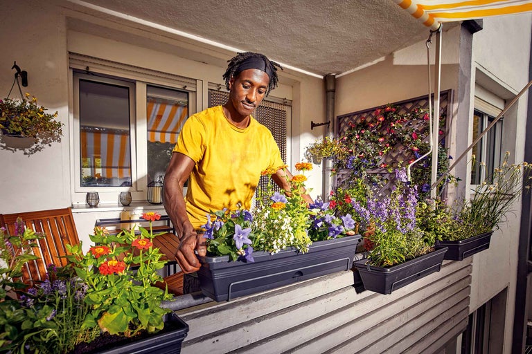 Balkonkasten bepflanzen