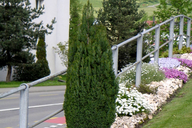 Außenaufnahme einer Gartenanlage mit Steingarten und verschiedenen Pflanzen