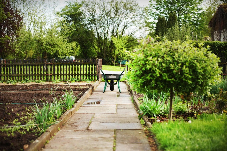 Gartenszene mit Weg, Schubkarre, Beet und Holzzaun