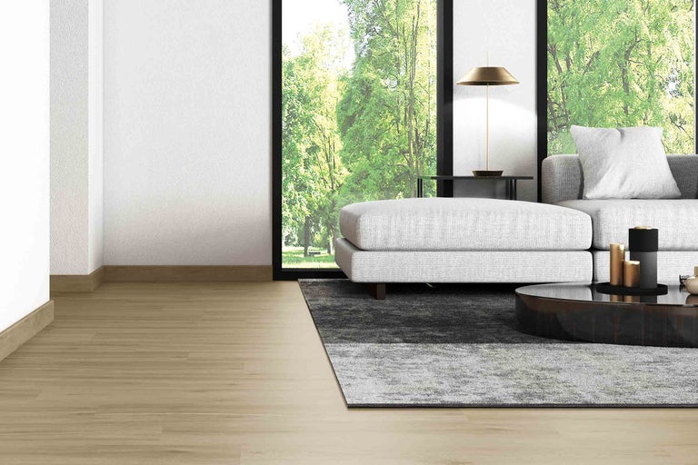 Wohnzimmer mit Sofa, Teppich und Holzboden