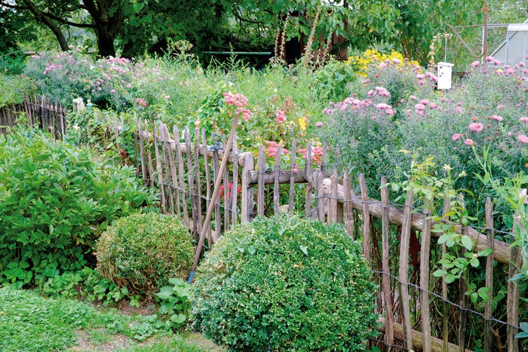 Garten mit Holzzaun und verschiedenen Pflanzen