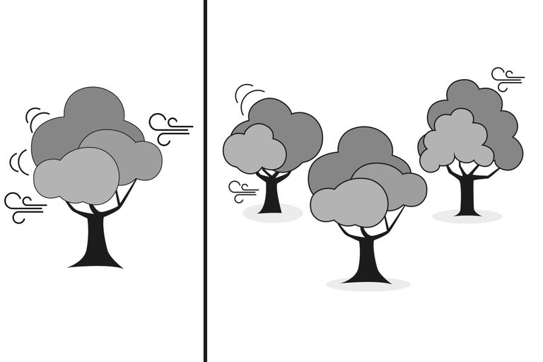 Illustration von Bäumen im Wind