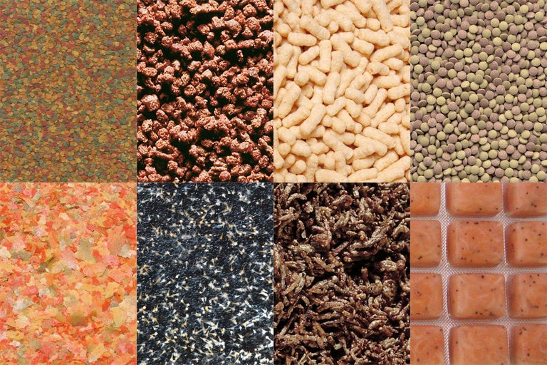 Nahaufnahme von Fischfutter in verschiedenen Formen und Sorten