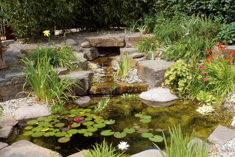 Gartenteich mit Wasserfall, Seerosen und Uferbepflanzung
