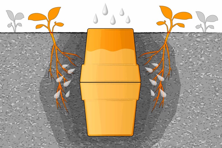 Illustration von Pflanzenbewässerung mit Untersetzer