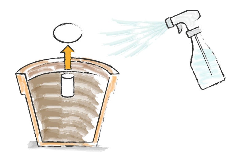 Illustration einer Aussaatanleitung mit Sprühflasche und Anzuchttopf