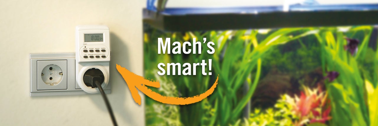 Digitale Zeitschaltuhr mit Aquarium im Hintergrund