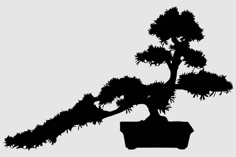 Silhouette eines Bonsai-Baums in einem Topf