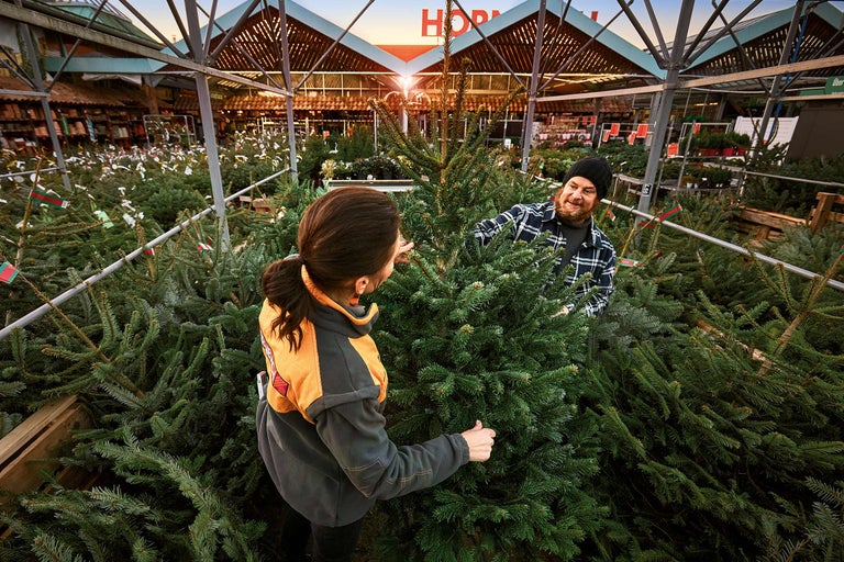 Kunden wählen einen Weihnachtsbaum im Hornbach Markt aus.