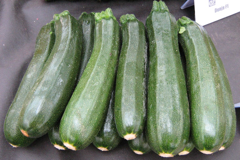 Mehrere grüne Zucchini