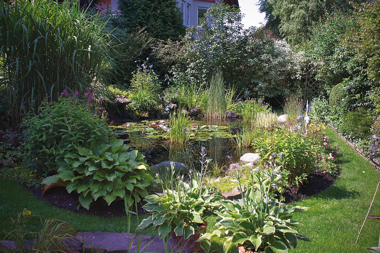 Teich im Garten mit üppiger Vegetation und Seerosen