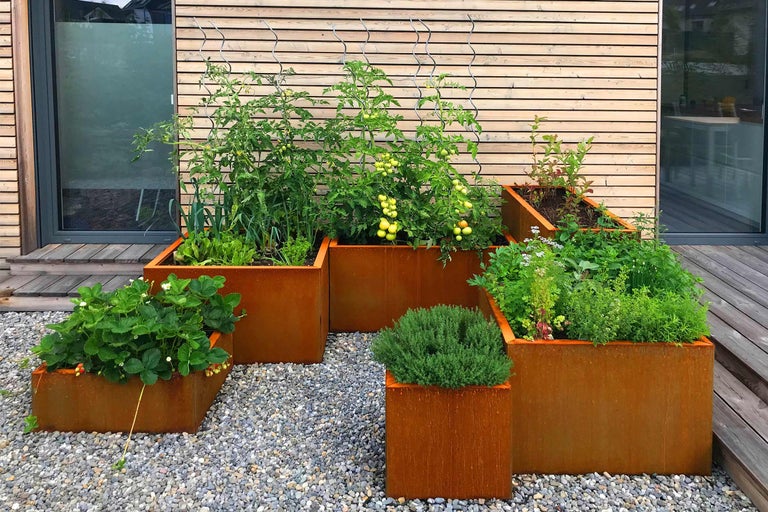 Mehrere Pflanzkästen aus Metall mit verschiedenen Pflanzen auf einem Kiesweg vor einer Holzwand.