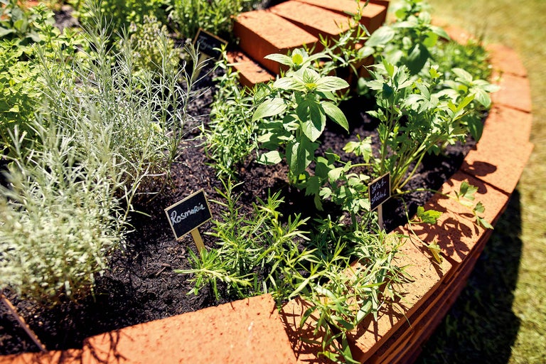 Kräutergarten mit verschiedenen Kräutern in einem Hochbeet aus Ziegelsteinen.