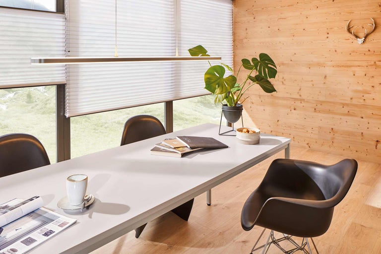 Helles Esszimmer mit Esstisch, Stühlen, Zimmerpflanze, Pendelleuchte und Plissee Rollos